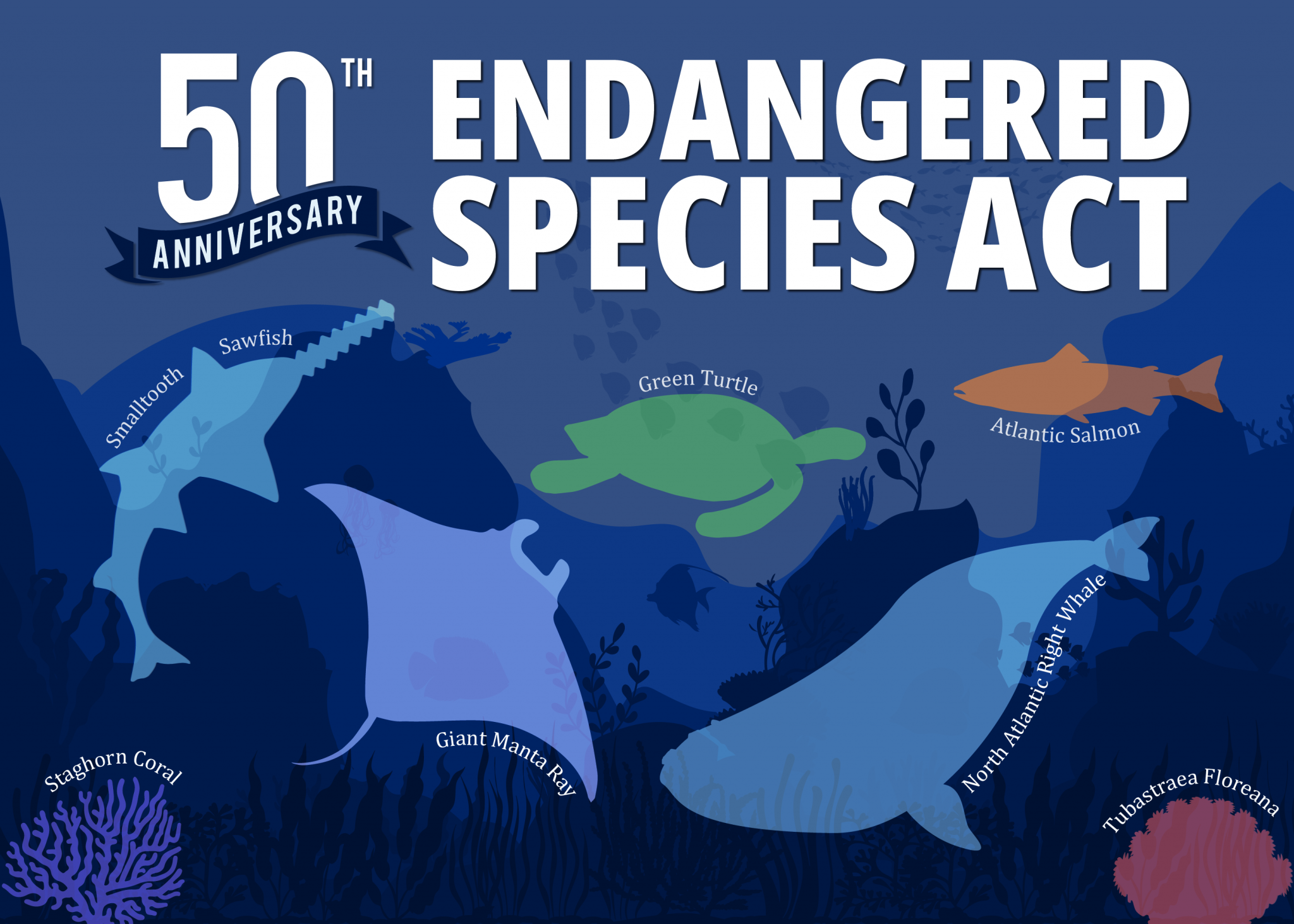 After 50 years of conservation, what’s next for the Endangered Species