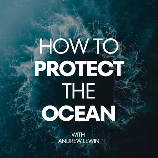I’m on How to Save the Ocean talking about 10 years of Science Crowdfunding Online