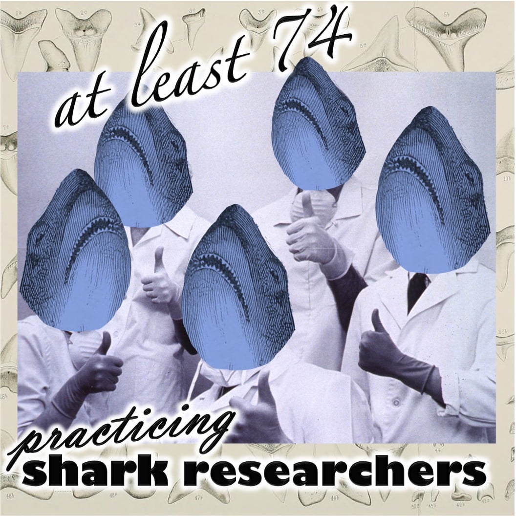 At least 74 practicing shark researchers: How a silly thing I said online raised thousands for conservation